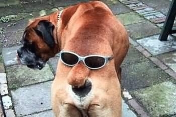 hahhhhhhhhhhhhhhhhhhhhhhhhhhhhhhhhhhhhhhhhhhhhhhhhhhhhhhhhhhhhhhhhhhhhhhhhhhhhhhhhh